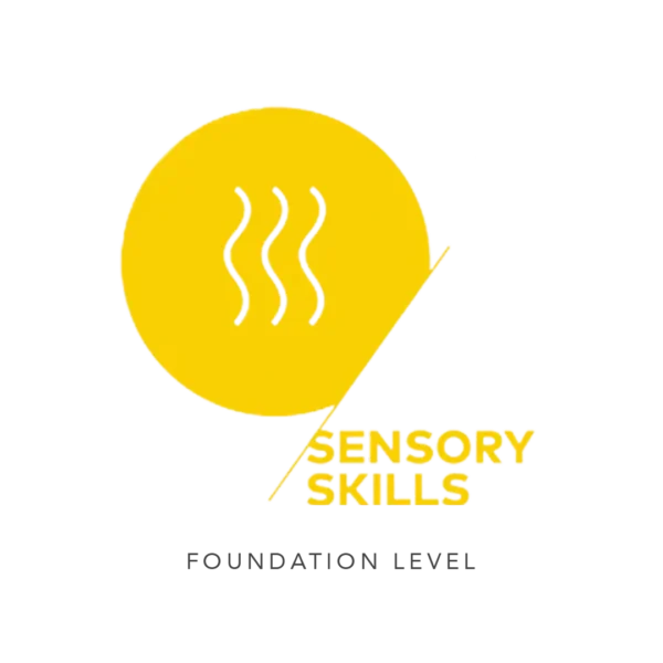 sca sensory foundation level
