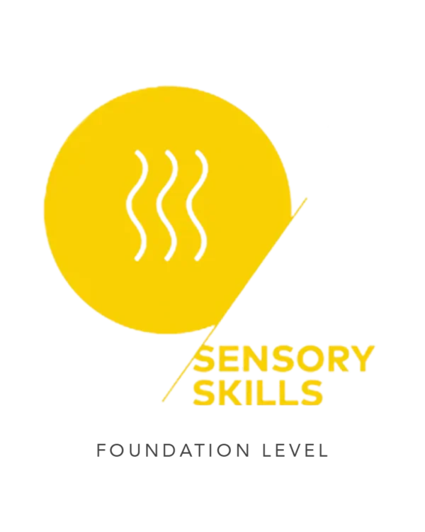 sca sensory foundation level