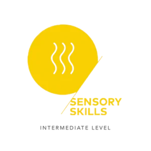 sca sensory intermediate level 360x
