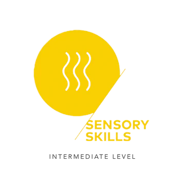 sca sensory intermediate level 360x