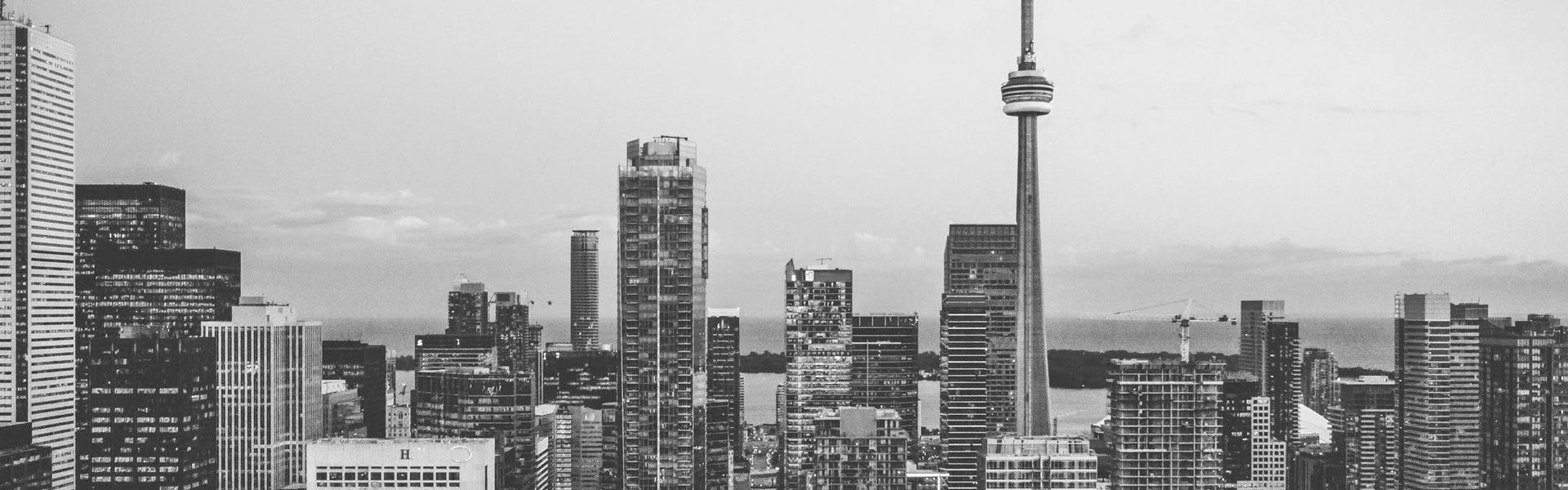 banner 1.jpg